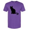 Unisex Softstyle® CVC T-Shirt Thumbnail