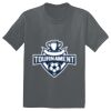 The Concert Tee ® Thumbnail