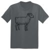 The Concert Tee ® Thumbnail