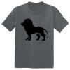 The Concert Tee ® Thumbnail